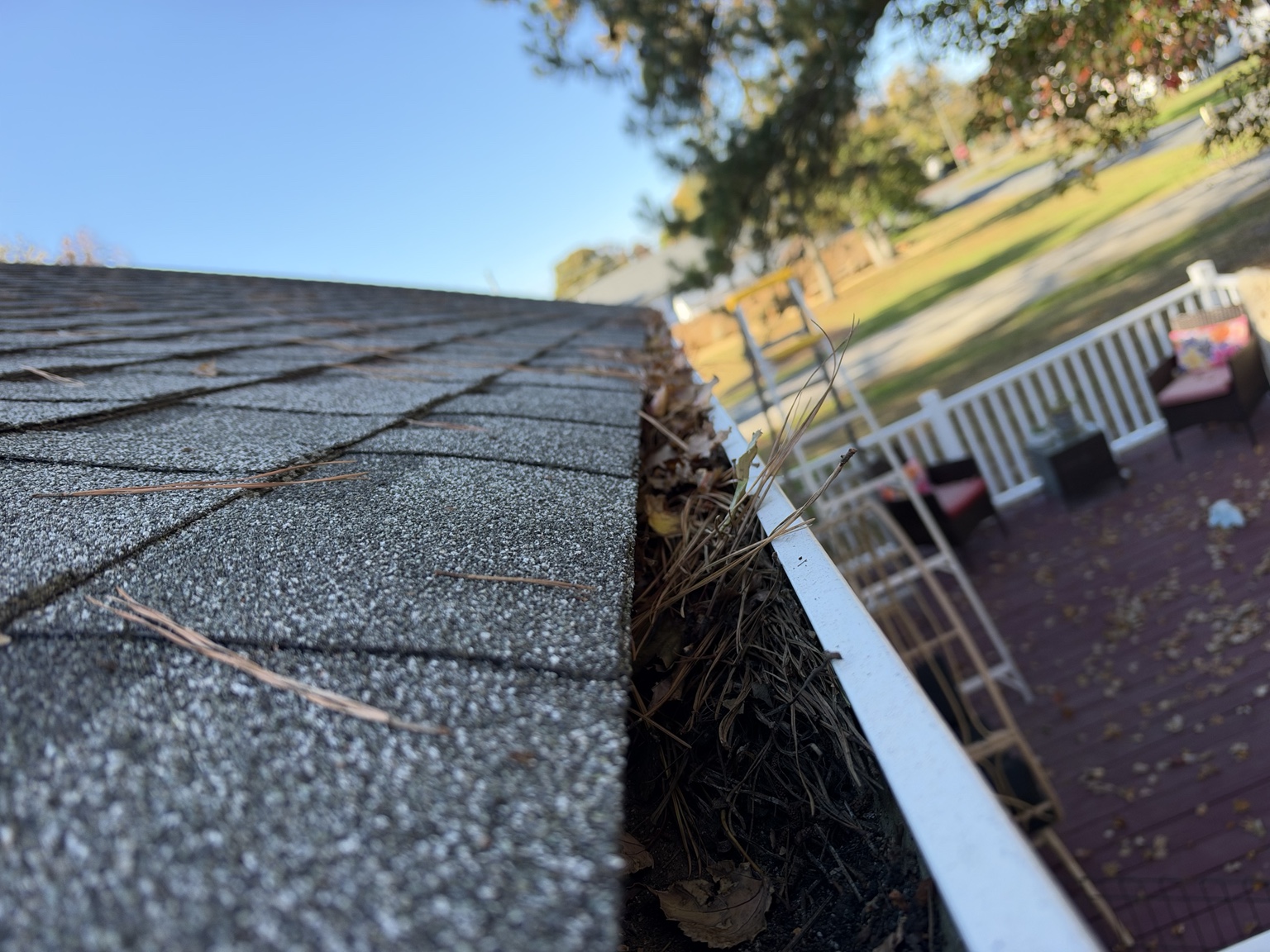 Gutter filled with leaves and pine needles before cleaning