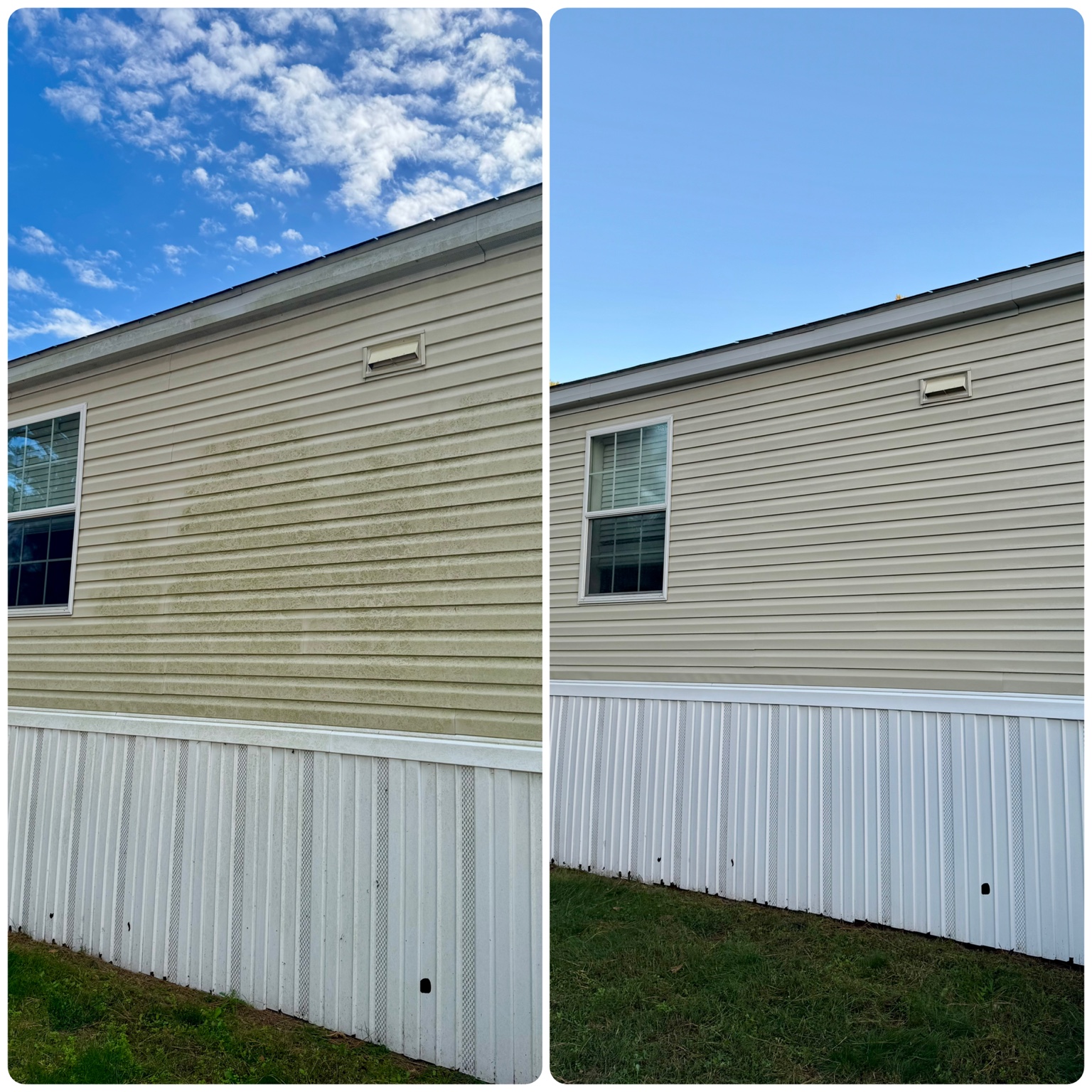 Before and after our house washing: green buildup removed from light vinyl siding